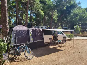 Volkswagen T5 Multivan