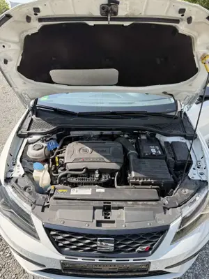 SEAT Leon Cupra 300 Bild 2