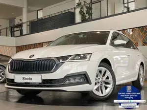 Skoda Octavia 2.0 TDI FirstEdit ViCo Matrix Canton ACC Bild 1