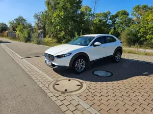 Mazda CX-30 CX-30 SKYACTIV-X 2.0 M-Hybrid Aut. Allrad