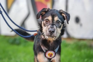 Wer möchte mit Puri durchs Leben gehen?