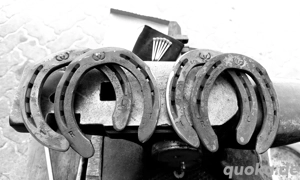 staatlich geprüfter Hufschmied   Bild 2