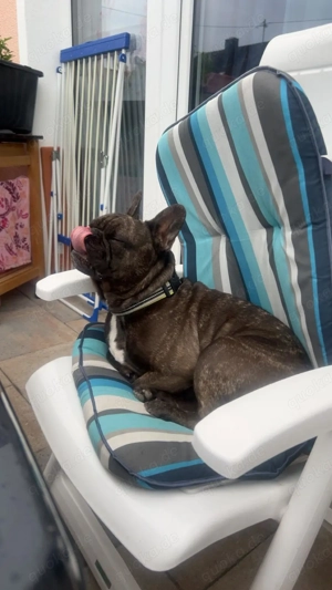 Dringend neues Zuhause gesucht