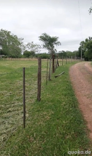 Grundstück, Bauland in Paraguay  Bild 3