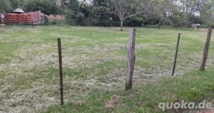Grundstück, Bauland in Paraguay  Bild 2