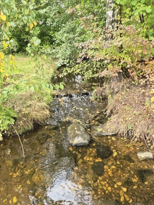 Hotte und sexy Erotikgruppe in WhatsApp ab 18 plus Jahren