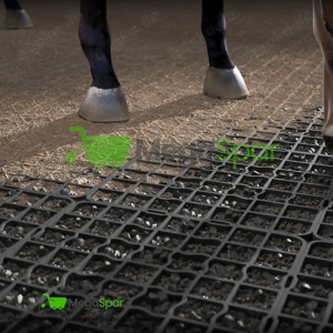 Paddockplatten kaufen & Rasengitter ideal für Pferdeplätze und Parkplätze