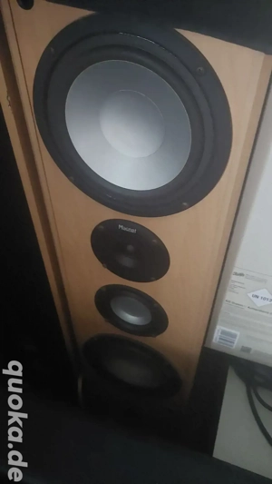 2 Magnat Standboxen zu verkaufen