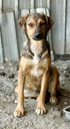 Wer erklärt Albina die Welt? Bild 2