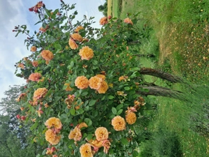 Schon wieder Herbst und nun