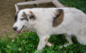 Sonnenschein Tessy möchte bei dir einziehen