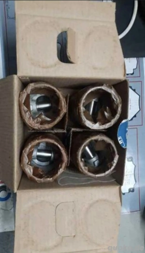 Motorsatz, Laufbuchsen, komplette Kolben mit Segmenten und Schrauben für Renault 5 TL