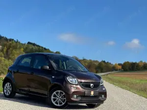 smart forFour forfour passion/Panorama/Kamera/Ambiente