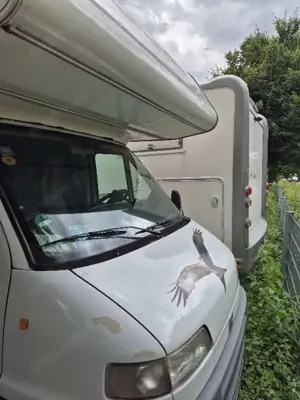 Fiat Ducato 14 JTD Bild 2