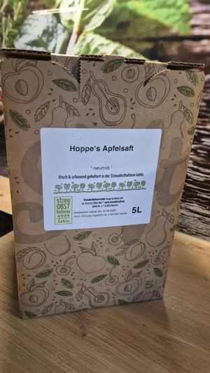 Apfelsaft 5l Box Bio