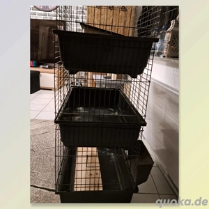 Käfig, Voliere großer Käfig, Nager, Meerschweinchen, Kaninchen, Ratten