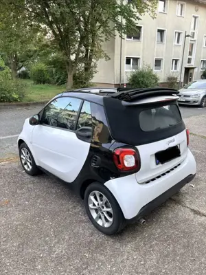 smart forTwo Basis 52 kW (453.442) Bild 4