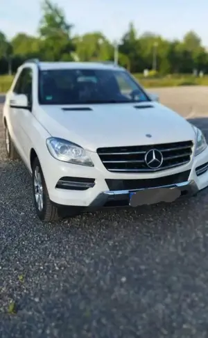 Mercedes-Benz ML 250 BlueTEC 4MATIC 7G-TRONIC