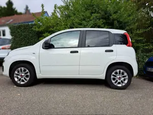 Fiat Panda Panda 1.2More