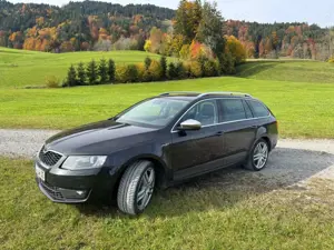 Skoda Octavia Octavia Combi 2.0 TDI (Green tec) 4x4 DSG L