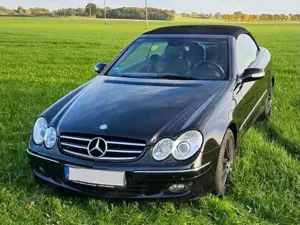 Mercedes-Benz CLK 200 CLK Cabrio 200 Kompressor Avantgarde Bild 2