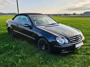 Mercedes-Benz CLK 200 CLK Cabrio 200 Kompressor Avantgarde Bild 4