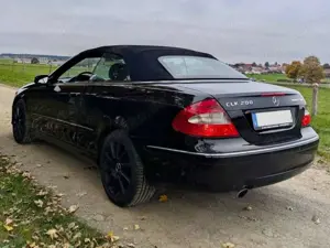 Mercedes-Benz CLK 200 CLK Cabrio 200 Kompressor Avantgarde Bild 5
