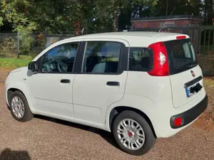 Fiat Panda Panda/Pandina 1.2 Start Bild 2