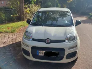 Fiat Panda Panda/Pandina 1.2 Start Bild 3
