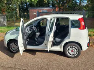 Fiat Panda Panda/Pandina 1.2 Start Bild 5
