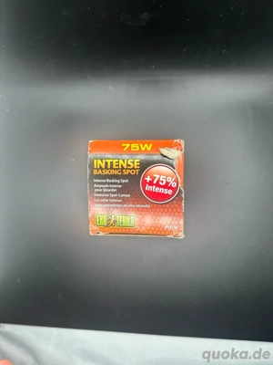 exoterra intensive baskkng spot 75watt