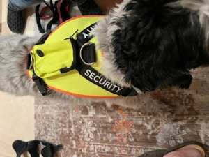 Hund Geschirr Security mit kl. Tasche
