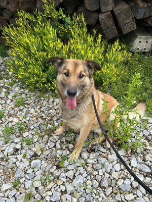 *ALEX* sucht und sucht und findet nichts - obwohl er so goldig ist