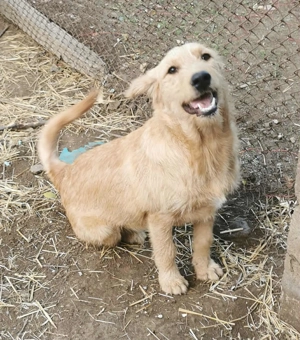 Wo hast du mein Körbchen aufgestellt?