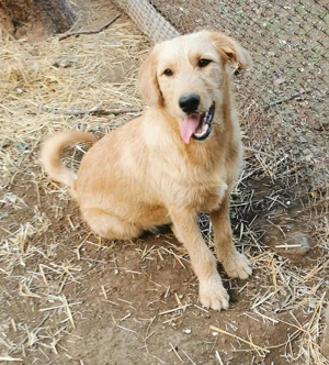 Wo hast du mein Körbchen aufgestellt?