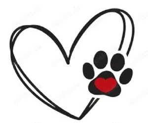 Hunde Gassi - Service in Ihrer Nähe mit Herz und Erfahrung