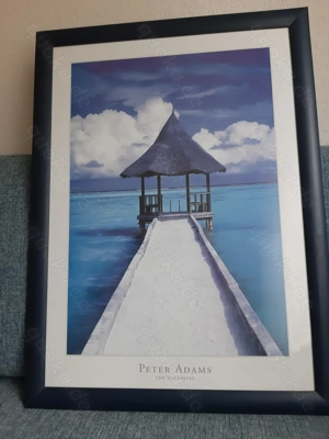 The Maledives, Poster