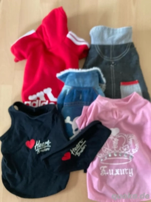 Hundekleidung für Welpen oder kleine Hunde