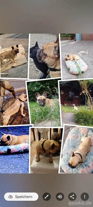 ich suche ein neues schönes zu Hause