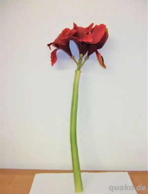 Deko: Amaryllis, rot, 67 cm hoch  Bild 2