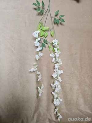weiße Blütenranken