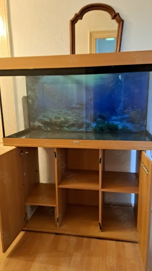 Super Angebot - Aquarium Set Juwel 350 mit Original Beleuchtung Bild 2