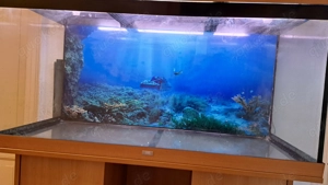 Super Angebot - Aquarium Set Juwel 350 mit Original Beleuchtung Bild 5