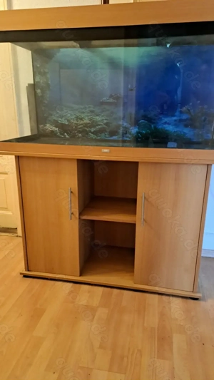 Super Angebot - Aquarium Set Juwel 350 mit Original Beleuchtung Bild 4
