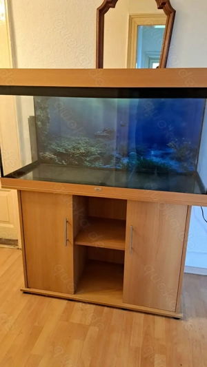 Super Angebot - Aquarium Set Juwel 350 mit Original Beleuchtung Bild 3