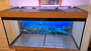 Super Angebot - Aquarium Set Juwel 350 mit Original Beleuchtung Bild 6