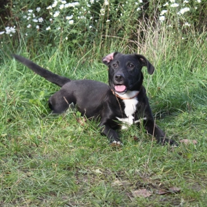 Bebe - wo darf ich Zuhause sein?