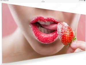 Nur Französisch? ! Oberweite 180 cm ( nicht fest ), 47 J., 89 kg