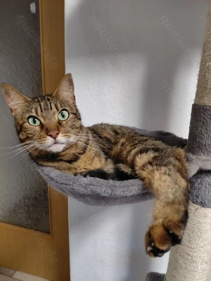 Möchte mir niemand ein zu Hause geben?