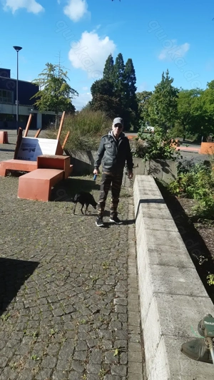 Rentner m.kl hund sucht single Wohnung in Witten!nach